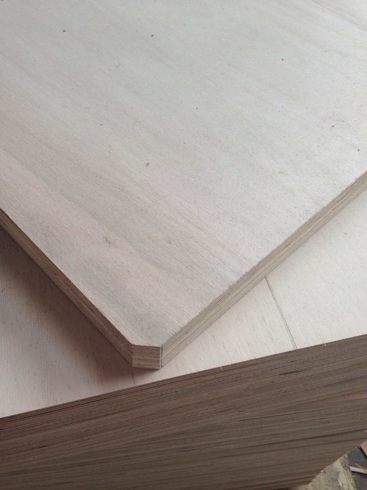 Hardwood plywood is made out of wood from angiosperm trees